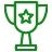 TeamRaiser Achievement Badge
